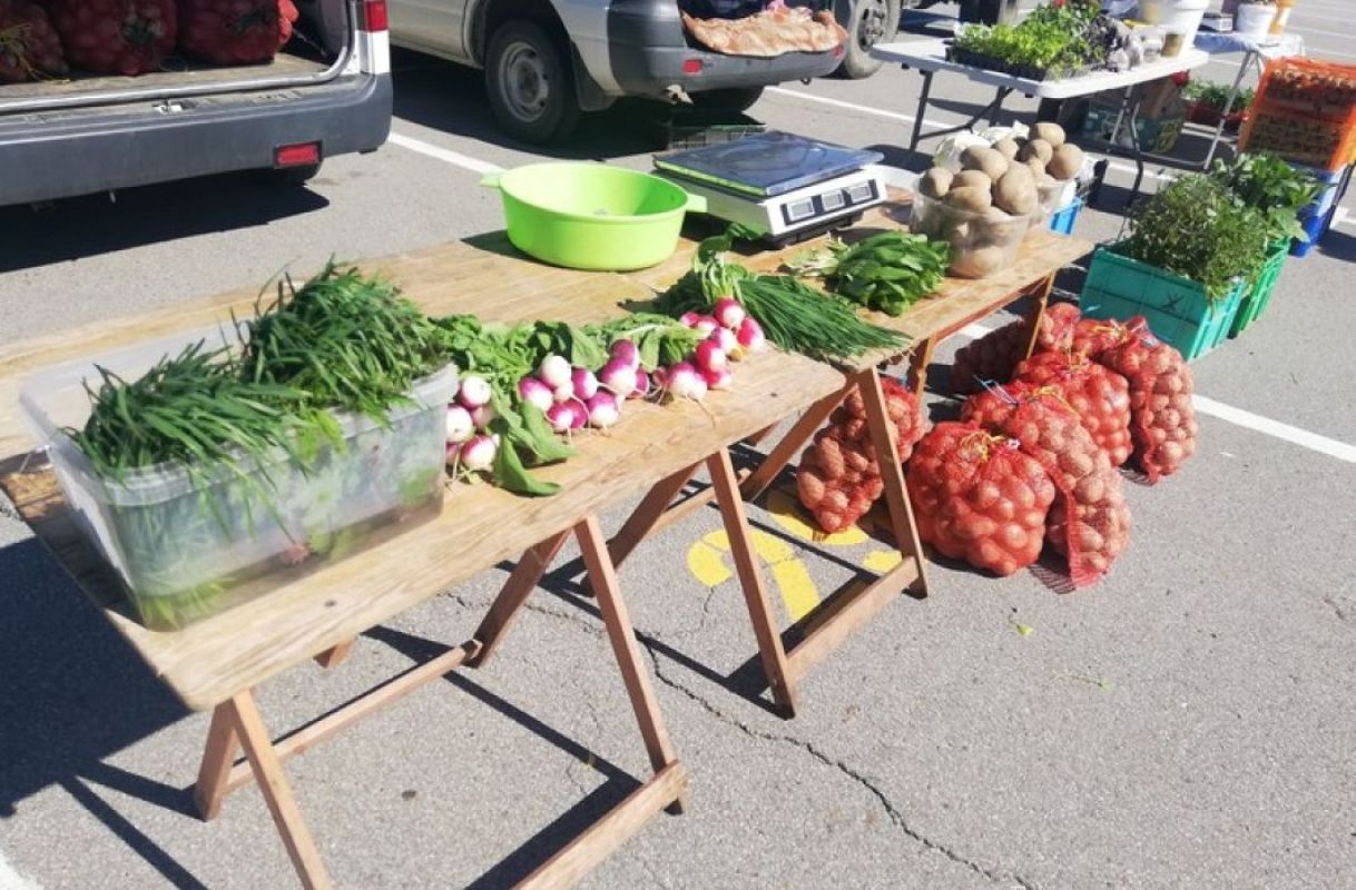 В Хабаровске открывается седьмой сезон сельхозярмарок