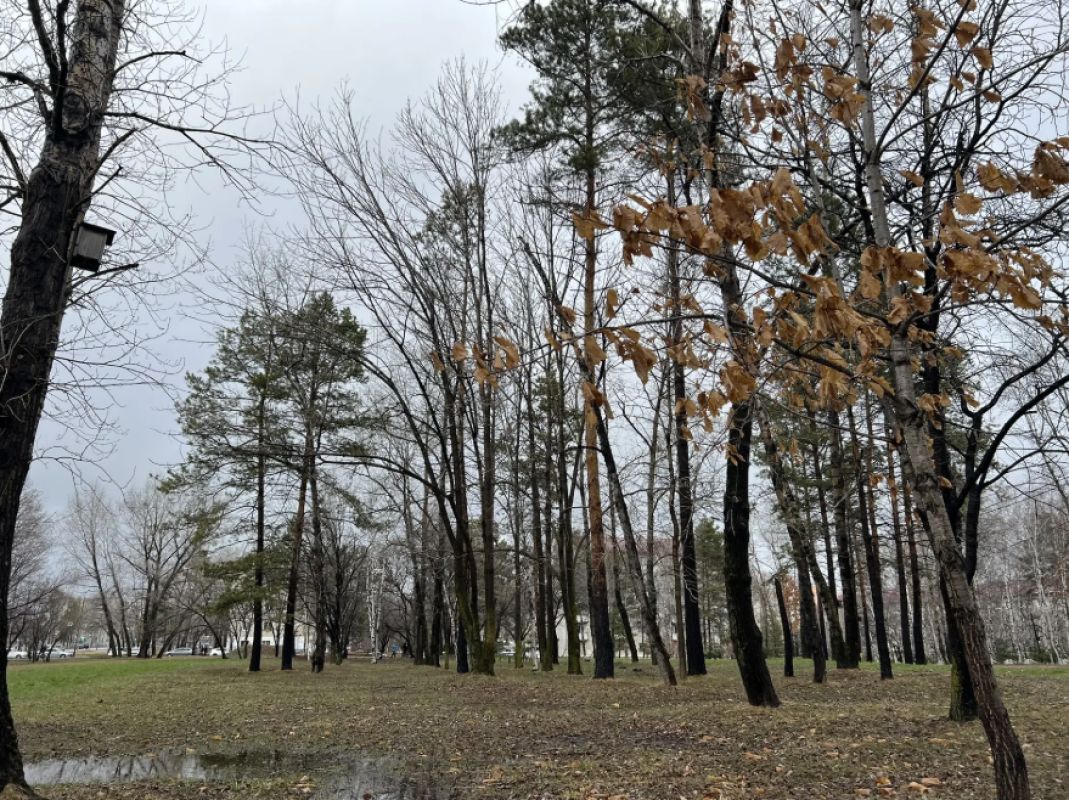 Магнитные бури, радиационный фон и&nbsp;пробки в&nbsp;Хабаровске 26 апреля
