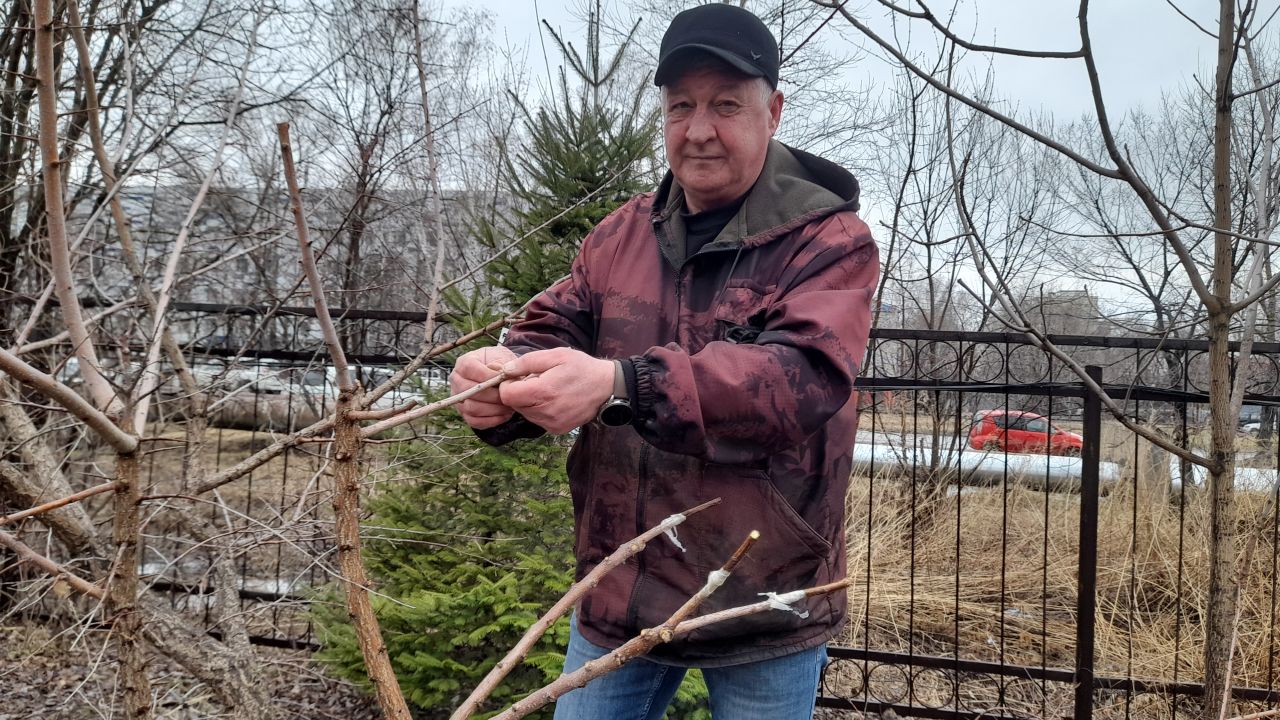 В погоне за&nbsp;урожаем: хабаровчане выстроились в&nbsp;очередь за&nbsp;местными саженцами&nbsp;