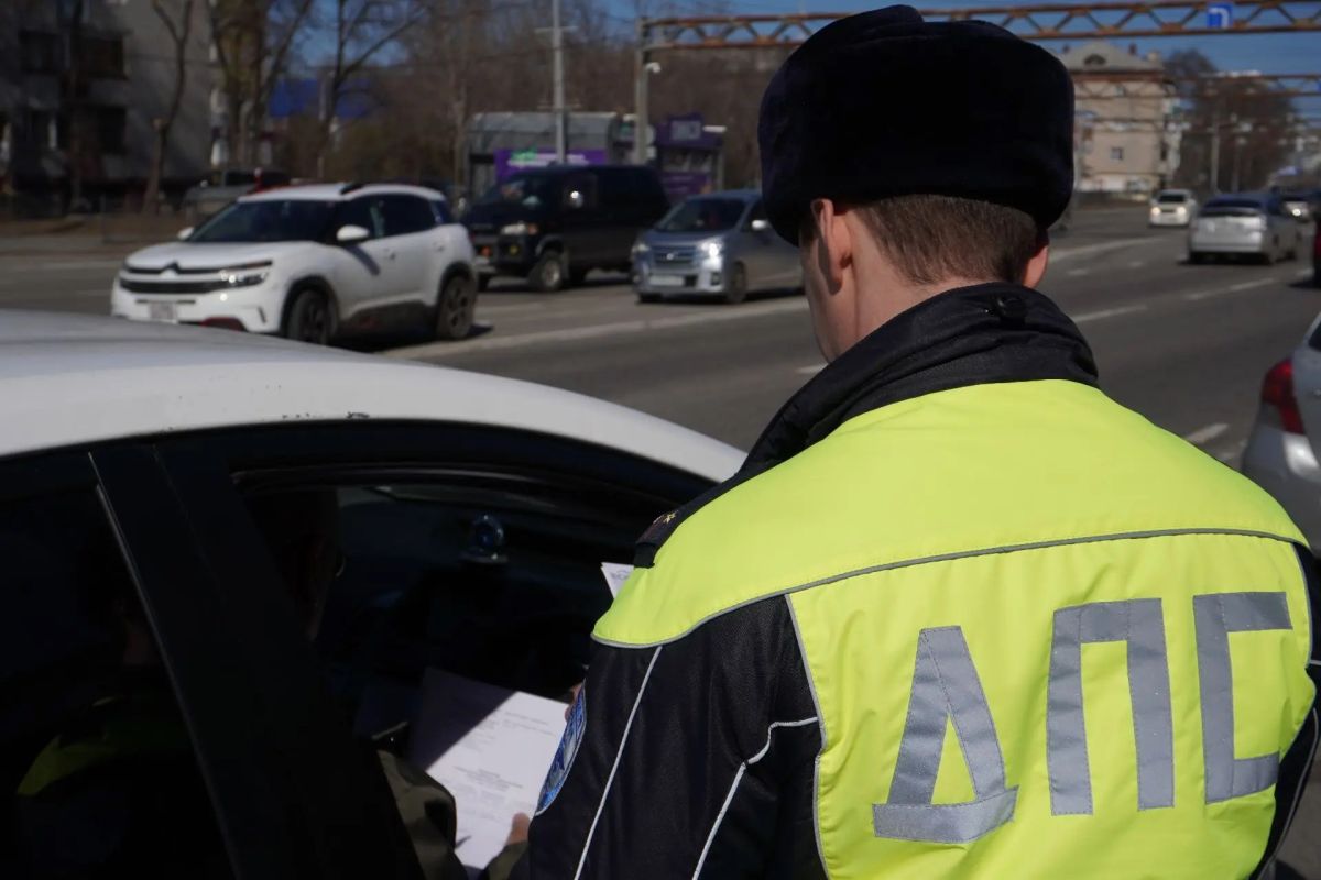 В Хабаровском крае за&nbsp;сутки выявили 490 нарушений ПДД