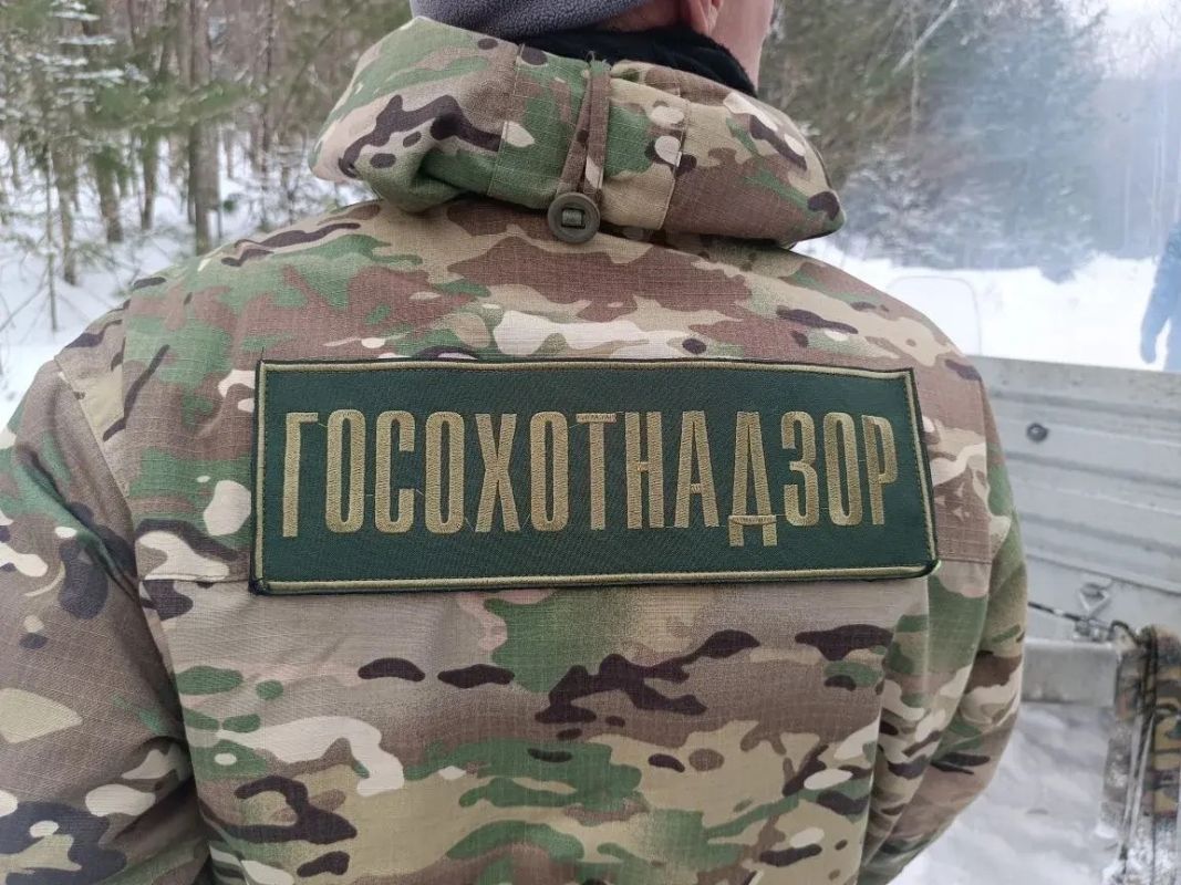 Охотнадзор Хабаровского края подвёл итоги рейдов за&nbsp;неделю