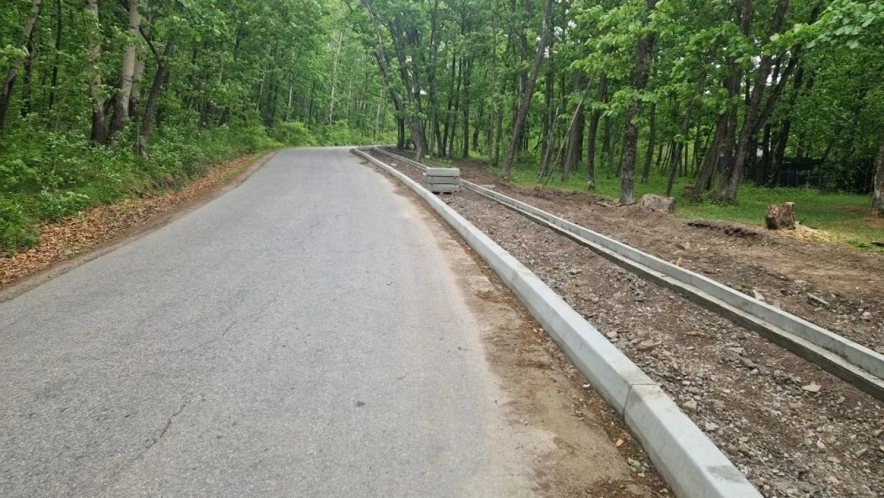 В Хабаровском крае строят тротуар к&nbsp;зоосаду «Приамурский» по&nbsp;нацпроекту