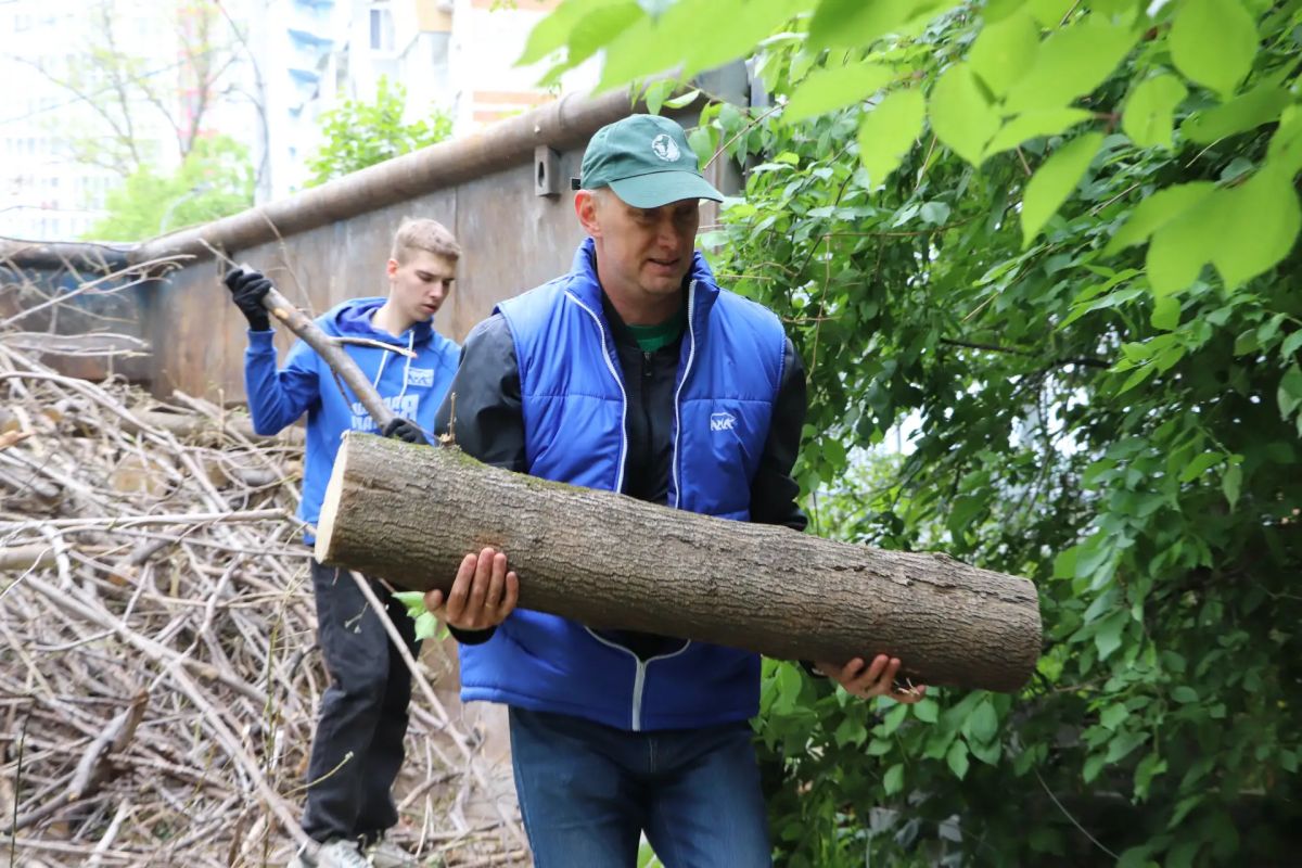 130 человек и&nbsp;100 кубов валежника: в&nbsp;Хабаровске возвращается к&nbsp;жизни питомник Шуранова