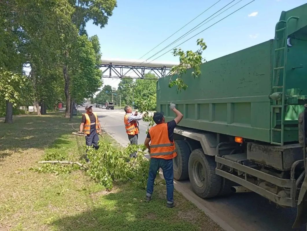 В Хабаровске дорожные службы ликвидируют последствия дождя и&nbsp;сильного ветра