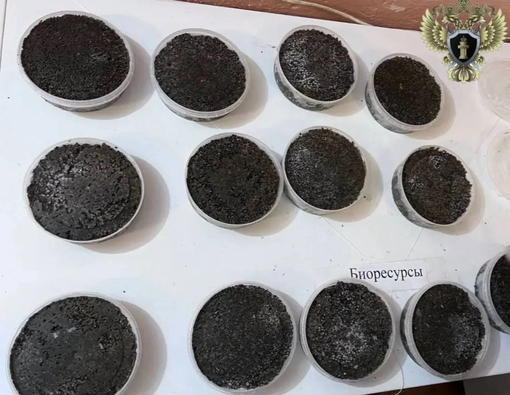 В Хабаровске возбудили дело о&nbsp;незаконной перевозке 102,5&nbsp;кг икры