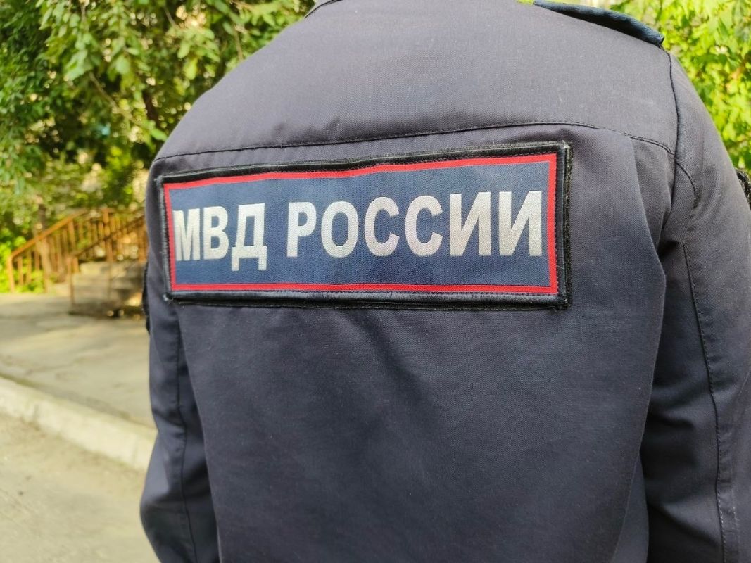 В Хабаровском крае слухи о&nbsp;подростках и&nbsp;собаке не подтвердились