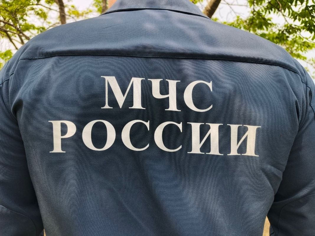 В Хабаровском крае за&nbsp;сутки потушили 6 пожаров
