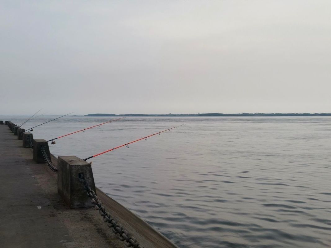 Вода зашла в&nbsp;22 населённых пункта Хабаровского края
