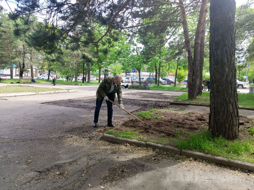 В Хабаровске 26&nbsp;сентября проведут общегородской субботник