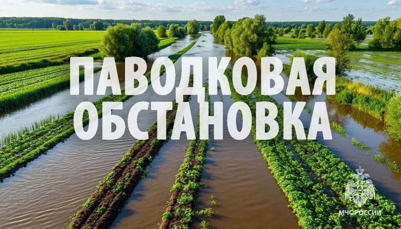 На островах Хабаровска больше нет&nbsp;подтопленных дачных участков