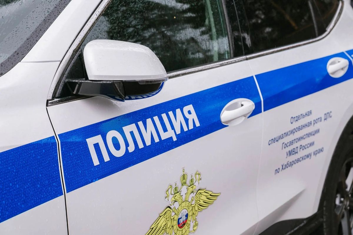 Хабаровчанин получил 8,5 года строгого режима за&nbsp;нападение на&nbsp;водителя