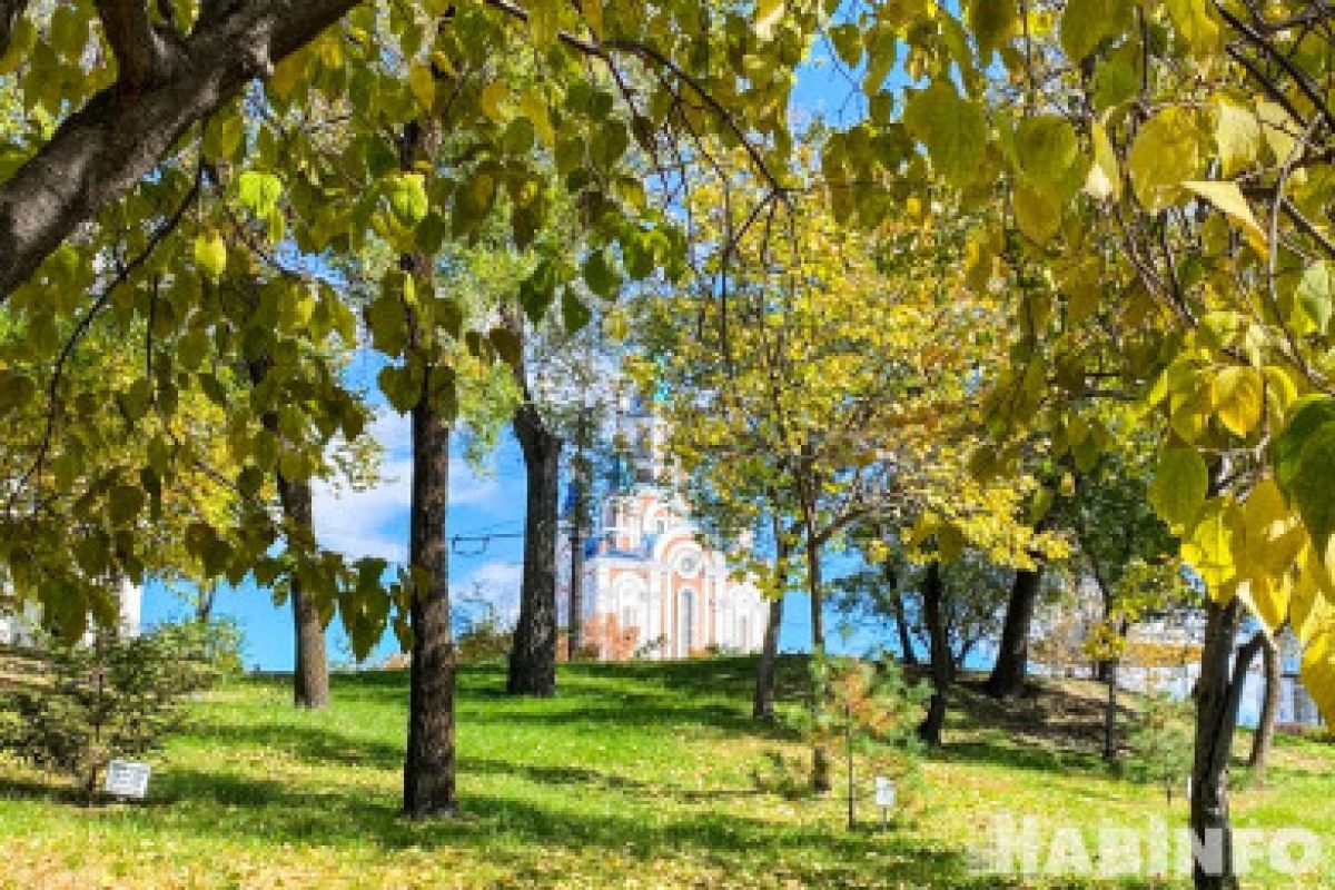 Магнитные бури, радиационный фон и&nbsp;пробки в&nbsp;Хабаровске 24 сентября