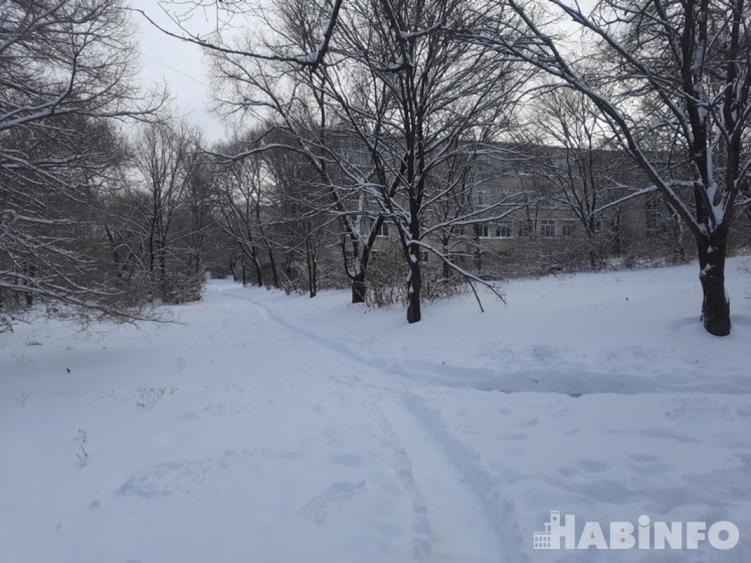 Циклон, который пришел в Хабаровский край с Китая, принес сильный снег