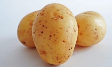 Сортовой картофель: опыт членов хабаровского клуба «Урожай»