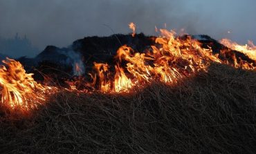 Китайские фермеры травят дымом жителей Хабаровска
