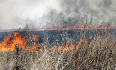 Дым над водой: хабаровчане уже ощущают первые последствия осенних палов травы