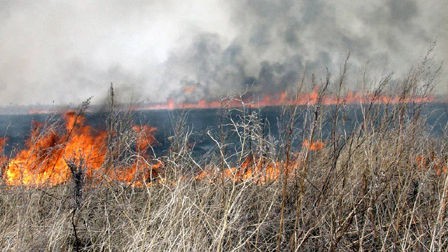 Дым над водой: хабаровчане уже ощущают первые последствия осенних палов травы