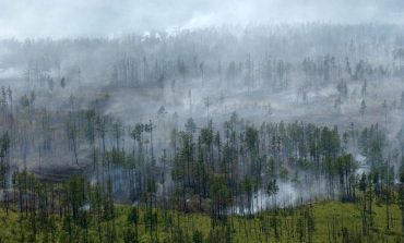 Лес не горит: на территории края потушили последний пожар