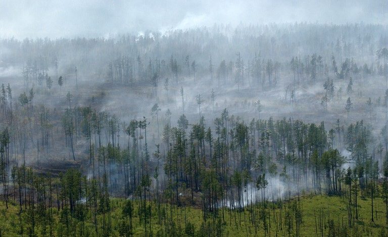 Лес не горит: на территории края потушили последний пожар