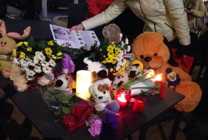 Из-за хабаровских живодерок в Москве прошел митинг против убийства животных (ФОТО)
