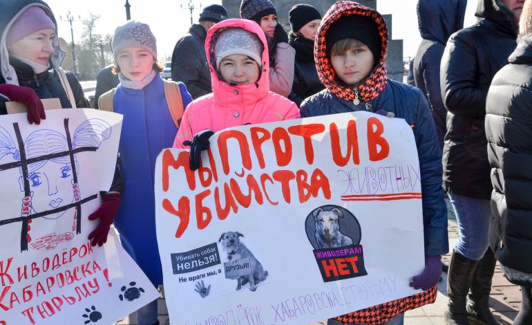 Хабаровские зоозащитники провели пикет против живодерства на Комсомольской площади