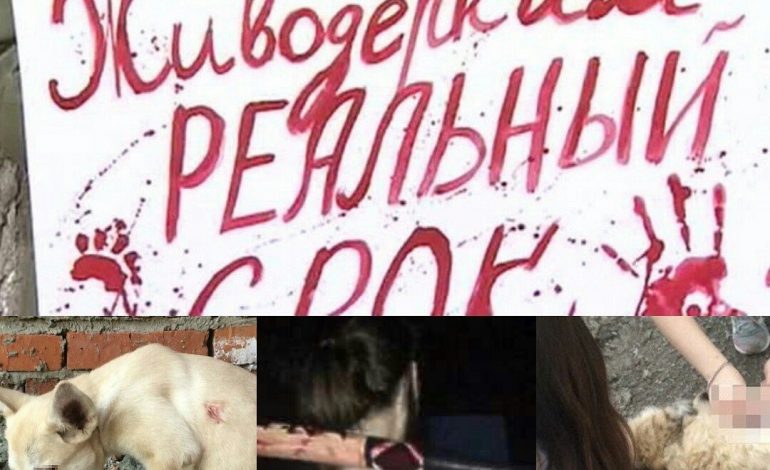 Пикет против живодерства пройдет 29 октября в Хабаровске