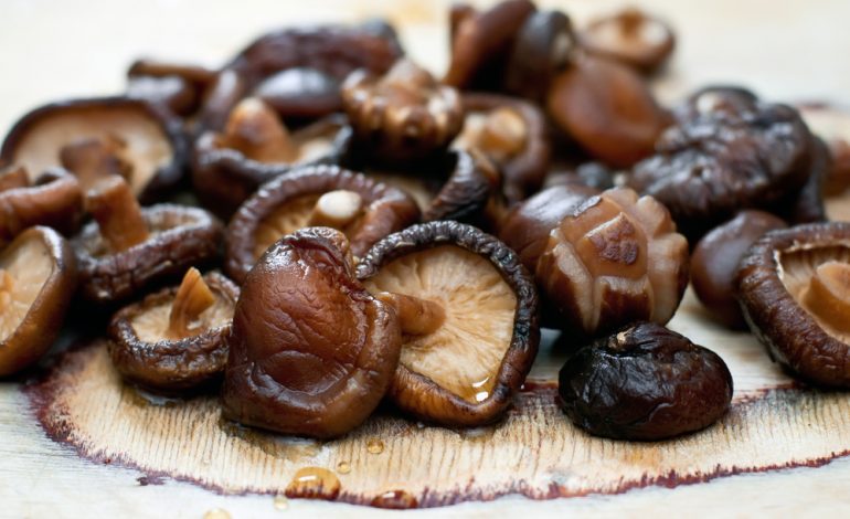 Шиитаке — ценный гриб, но его не надо варить