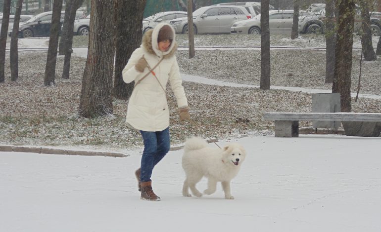 В Хабаровске наконец-то идет снег (ФОТОРЕПОРТАЖ)