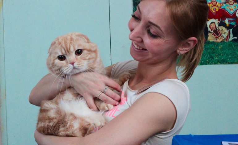 Международная выставка кошек прошла в Хабаровске (ФОТО; ВИДЕО)