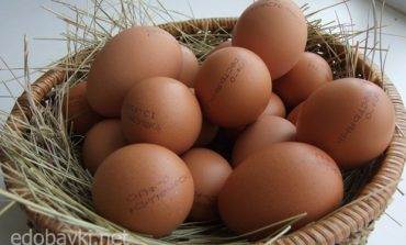 Проверьте качество яиц, чтобы Пасха не закончилась на больничной койке