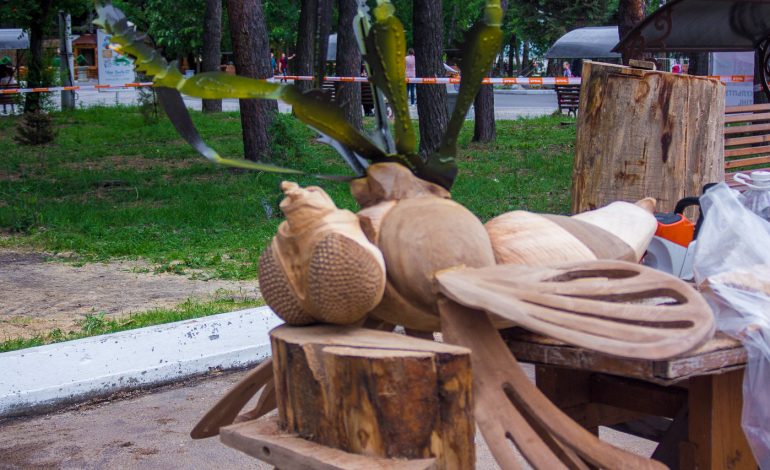 Муха-цокотуха и тигры на набережной: конкурс деревянных скульптур завершился в Хабаровске