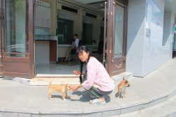 Жительница города Фуюань кормит декоративных собак