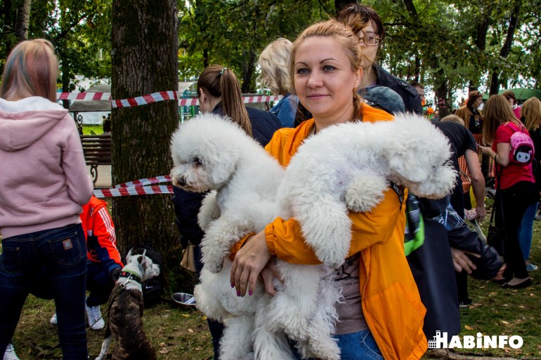 Хабаровчане наобнимали собак на 70 тысяч рублей
