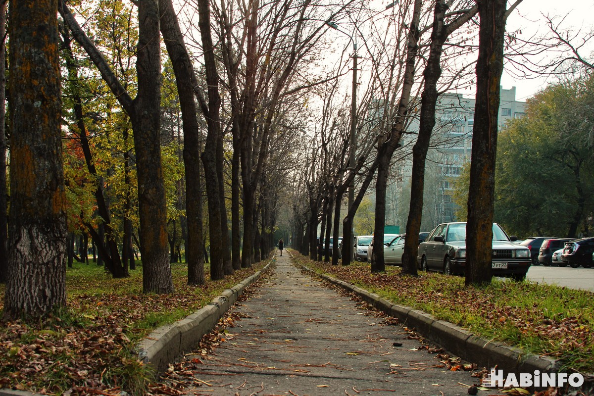 Осень В Хабаровске 2025 Фото