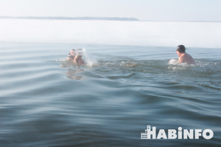 моржи хабаровска habinfo.ru