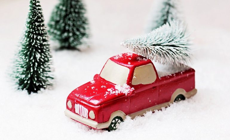 Скребок и дворники: пять зимних покупок для автомобилиста