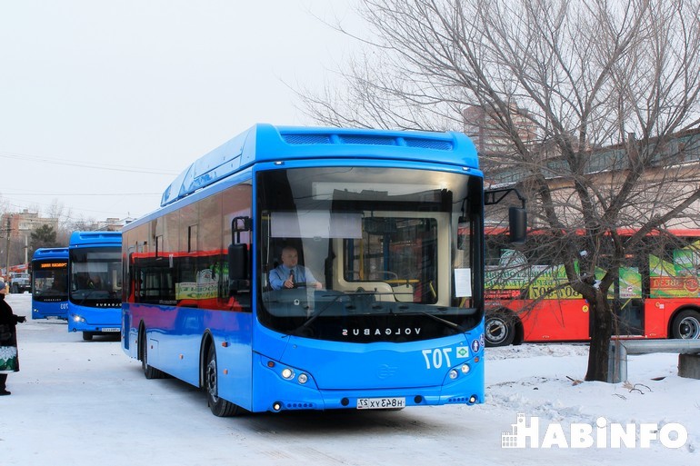 количество автобусов маршруте 1