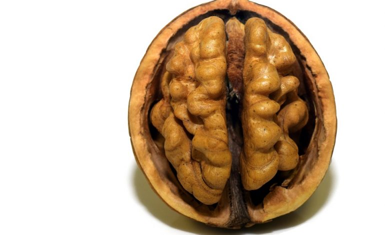 Сколько стоит проверить свой мозг?