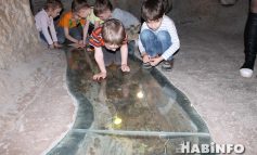 Почувствуй себя археологом: «пещерное» развлечение для детей и взрослых