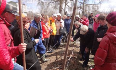 Мастер-класс по весенней агротехнике винограда провел народный испытатель Сергей Чудопалов