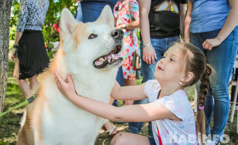 «Джакузи с мопсами» и многочисленные селфи: акция «Собака-обнимака» в Хабаровске