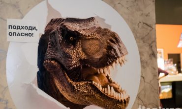 «Мир Юрского периода - 2»: куда бежать от динозавров в Хабаровске