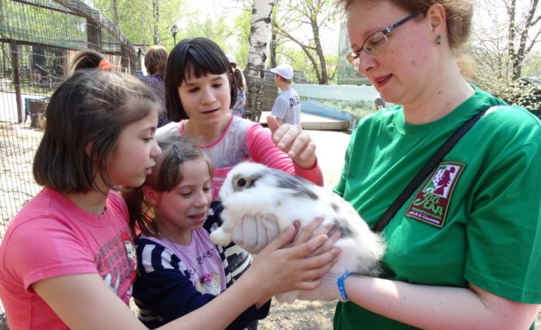 Зоотерапия в Хабаровске: как животные помогают в реабилитации детей-инвалидов