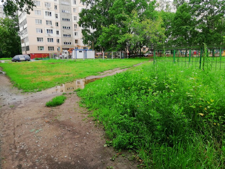 Кто должен косить траву в городе