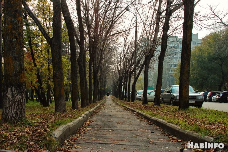 экология хабаровского края 4