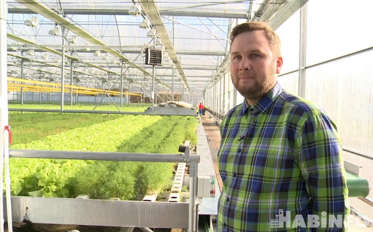 Ещё больше салата: в Хабаровске увеличивают производство тепличной зелени