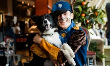 Человек собаке друг: акция «Искусство в поддержку животных» прошла в Хабаровске
