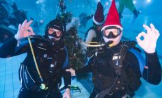 Новый год с аквалангом: дайверы отметили праздник на трехметровой глубине