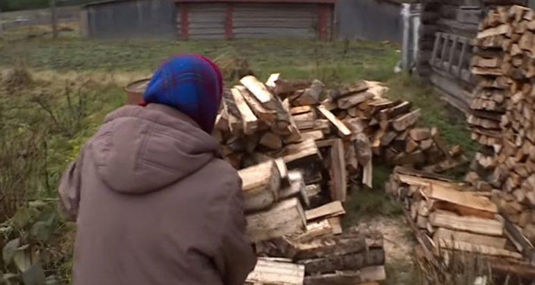 Валежник разрешили собирать бесплатно. Кому он нужен в Хабаровском крае?