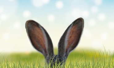 От какого поцелуя можно оглохнуть и о чем расскажет шум в ушах? Отвечает врач-сурдолог